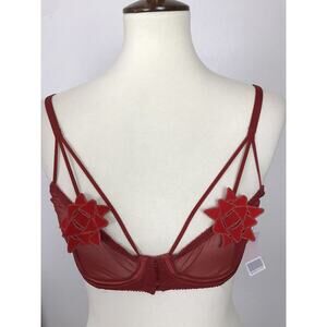 Fenty X Savage Lingerie Sheer Floral Embroidered Underwire Bra